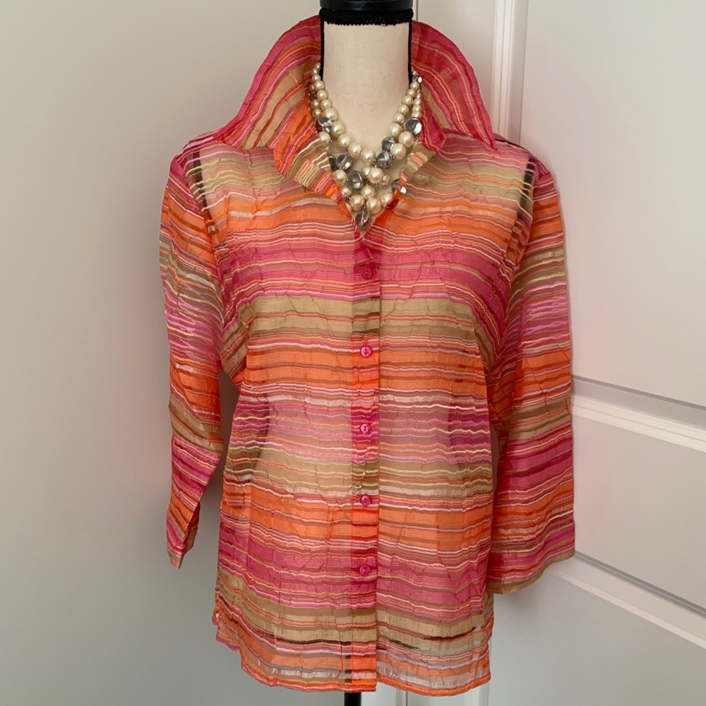 🔥🔥Gorgeous Elementz Sheer Blouse